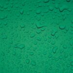 Photo green color