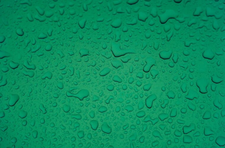 Photo green color
