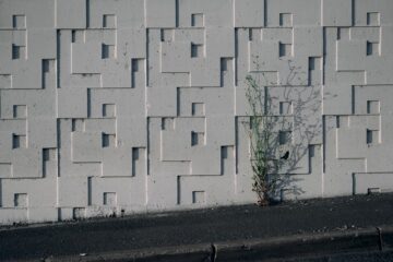 Photo concrete planters
